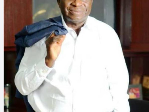 Senator Ayo Arise Drags Ekiti North APC Primary Election to Abuja Federal High Court