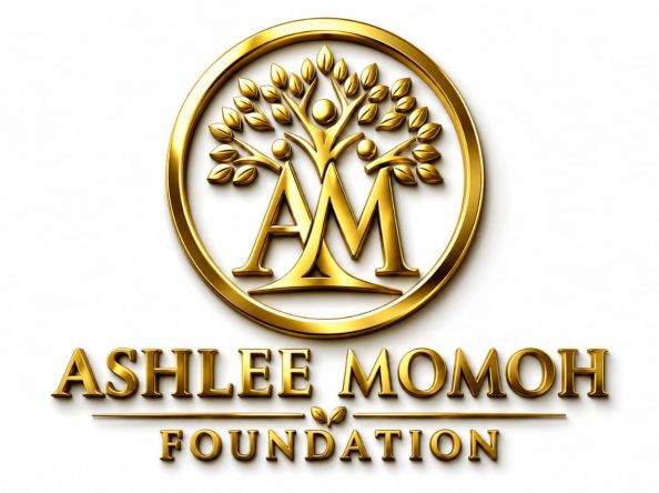 Ashlee Momoh Foundation urges calm over backlash against defence minister, hails security achievements