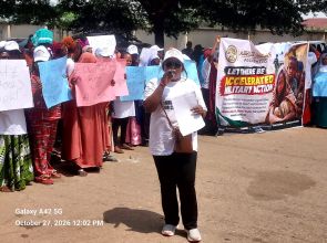 Foundation appeals to FG, UN over abducted Borno children